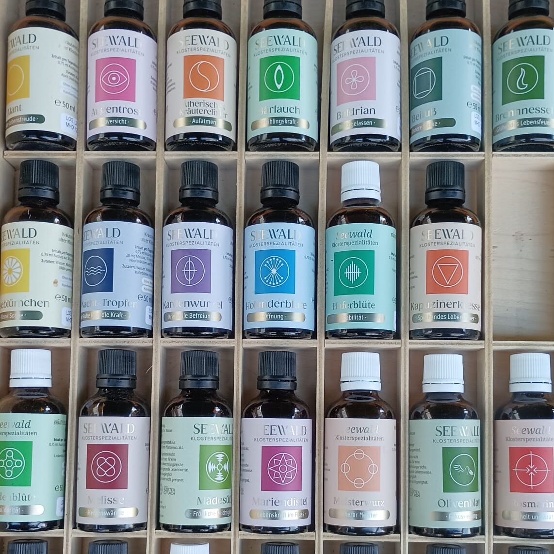 Sabine Hinteregger - Mein Aloe Vera