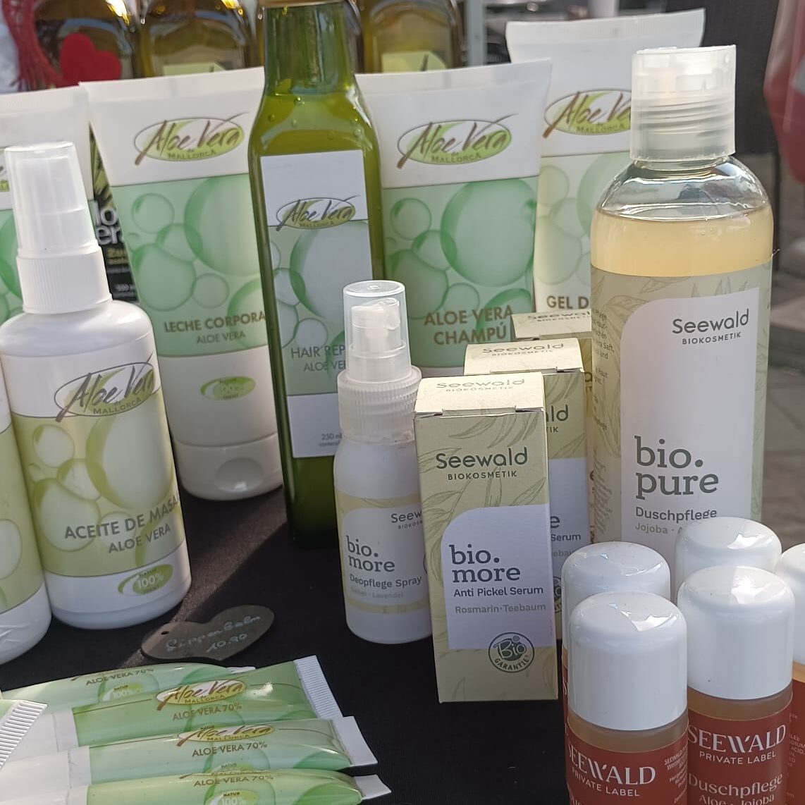 Sabine Hinteregger - Mein Aloe Vera