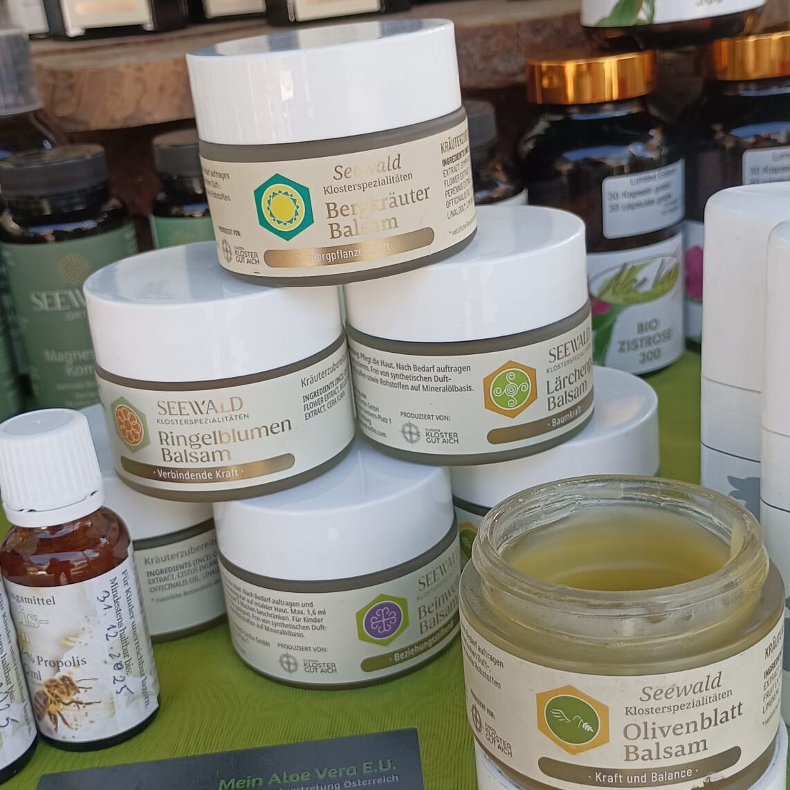 Sabine Hinteregger - Mein Aloe Vera